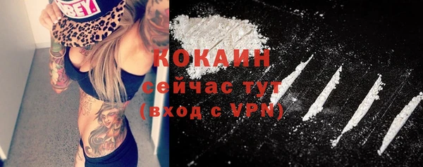 СК Зерноград