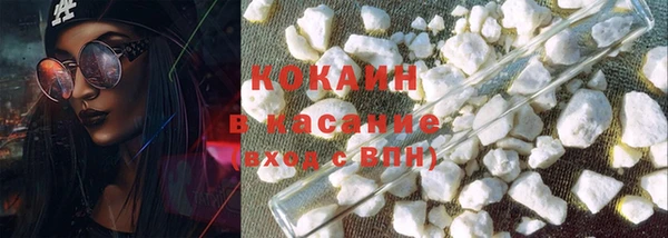 СК Зерноград